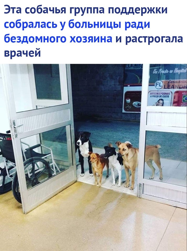 Бывает.... Бывает.... дверям, возвращается, бежит, срывается, калачиком, кресло, поздно, места, НИКОГО, глаза, сценавзято, включаю, Немая, телевизор, подождав, двери, минуты, видит, кресле, пристально