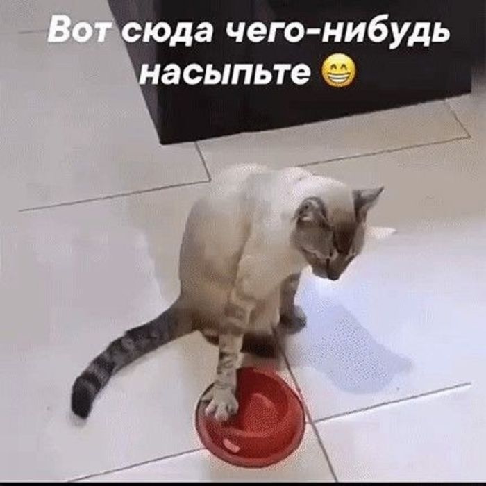 Не стоило, блин, незнакомой парикмахерше говорить: "Удивите меня" 