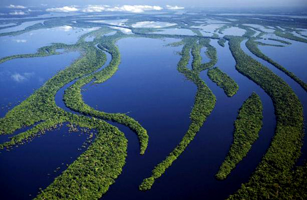 Бассейн Амазонки Южная Америка. 10 наиболее опасных мест для плавания. Фото с сайта NewPix.ru