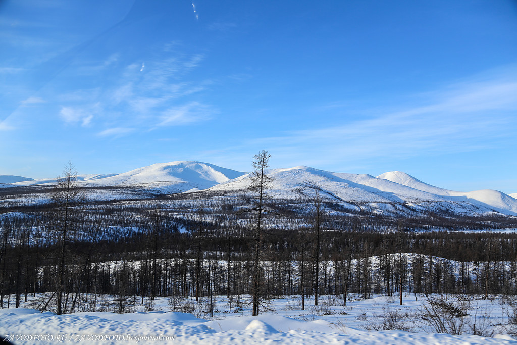 южная якутия гпч. южная якутия. усть-нюкжа амурская область. южная якутия. осень эвенков.