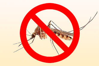 Аллергия на комариные укусы комаров, которые, может, укусы, поэтому, только, могут, особенно, насекомым, укусов, пациента, реакции, здоровья, людей, других, чувствительности, Однако, однако, признаки, наблюдается