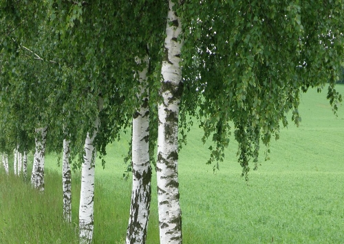 праздник красная горка, лельник праздник славян, обряды обычаи