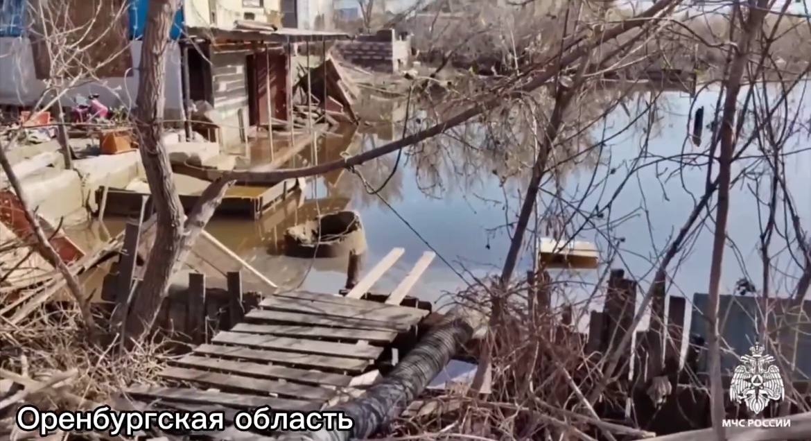 Мало: Путин раскритиковал власти за низкий процент обработанных заявок от пострадавших от паводков