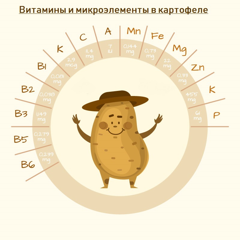 польза картофеля в питании человека