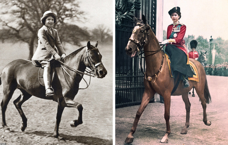 19 фактов из жизни Елизаветы II, которые убедили нас в том, что мы мало о ней знаем 19 фактов из жизни Елизаветы II, которые убедили нас в том, что мы мало о ней знаем женщины,Женщина,загадочность,знаменитости,интересное,очарование,фотографии