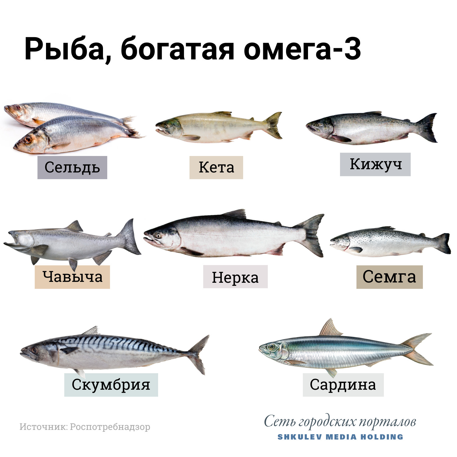 Посмотрите на хребет: 15 видов рыбы, которую лучше не есть больше, который, говорит, Калистратов, городских, Барташевич, Галина, только, стоит, лучше, лосось, может, продукты, могут, холестерина, чтобы, добавлением, продуктов, которые, заморозка