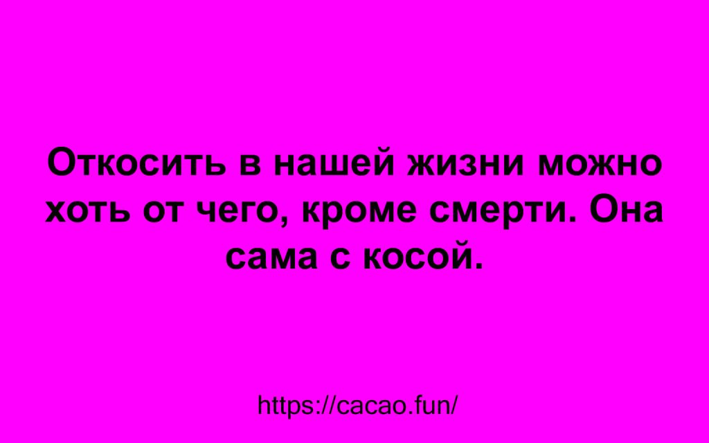 Юмор спасет мир! 