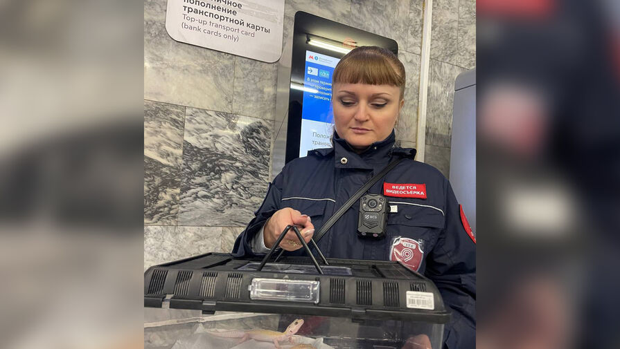 Школьница из Москвы забыла на станции в метро двух эублефаров
