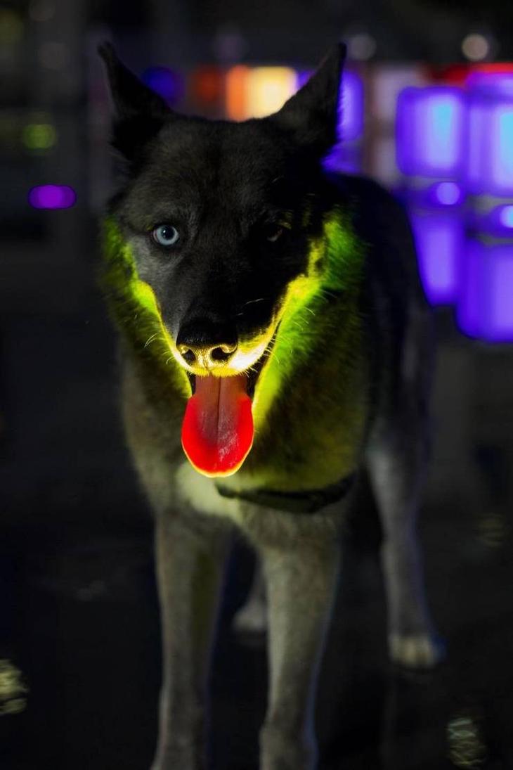 Смех - лучшее лекарство 