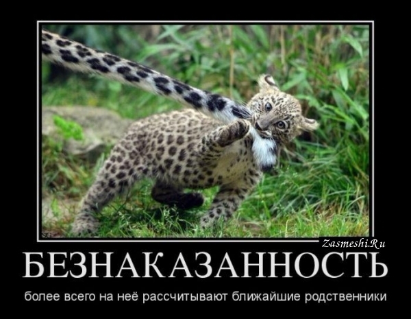 ������� ����� � ����