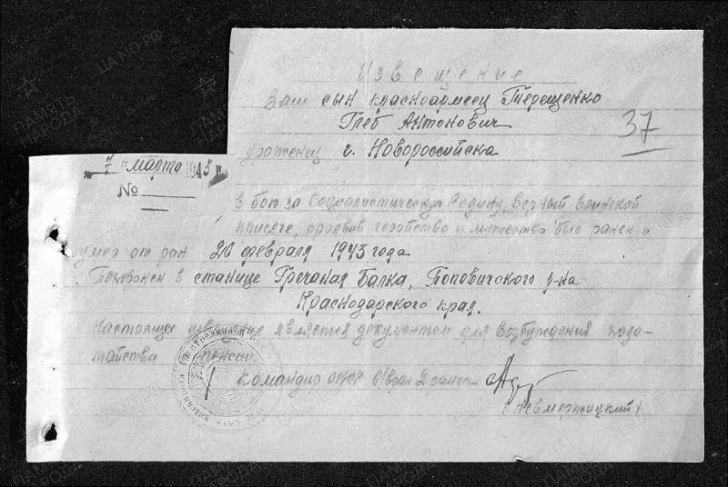 Взлёт и трагедия новороссийских ракетчиков Взлёт и трагедия новороссийских ракетчиков история