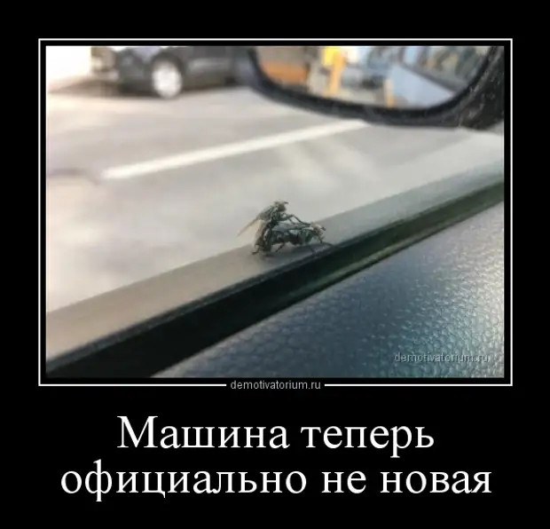 Свежие и зачетные демотиваторы из нашей жизни