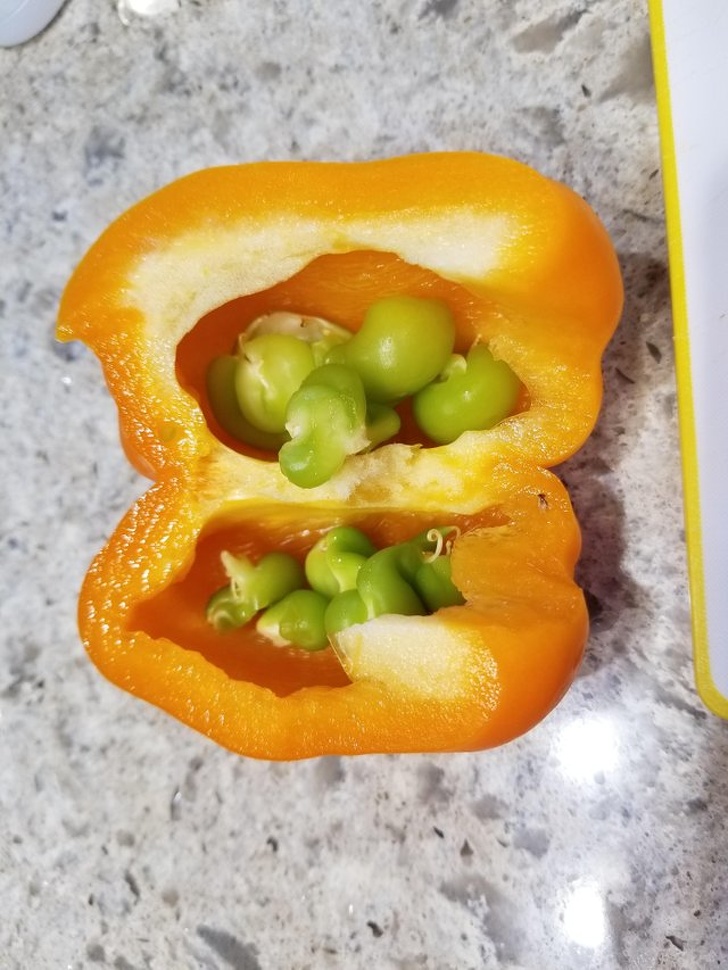 15 доказательств того, что в мире есть еще вещи, которых мы не видели 15 доказательств того, что в мире есть еще вещи, которых мы не видели