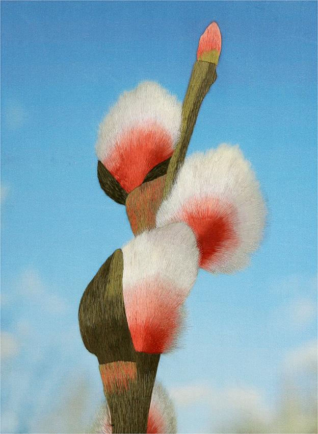 Вышивка шелком по шелку - жемчужина восточного искусства Вышивка шелком по шелку - жемчужина восточного искусства вышивка