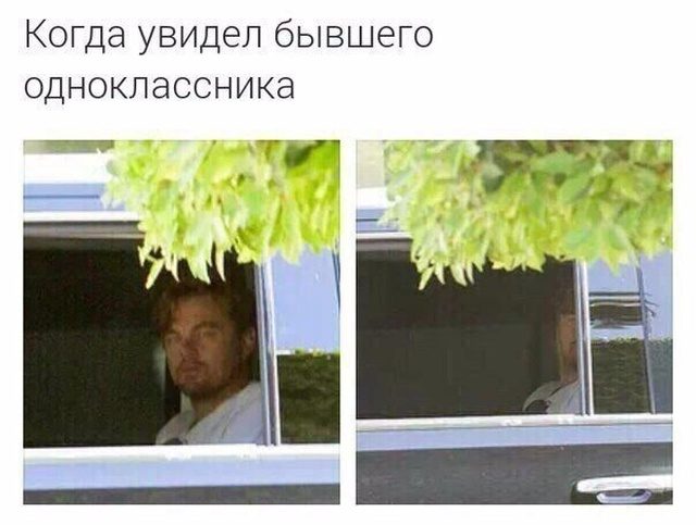 Социальный юмор Социальный юмор