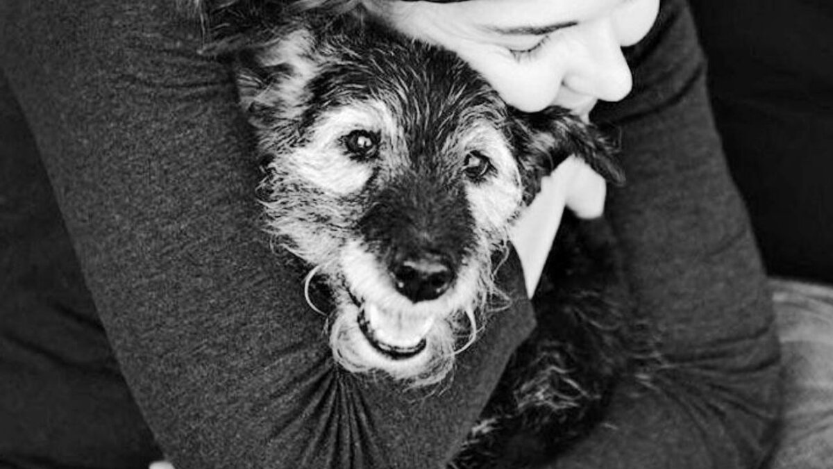 Чудо ты моё 