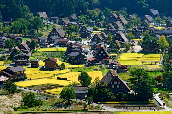 В гостях у сказки: деревня Сиракава, которой самое место где-нибудь в тридесятом государстве деревни,сказки,Япония