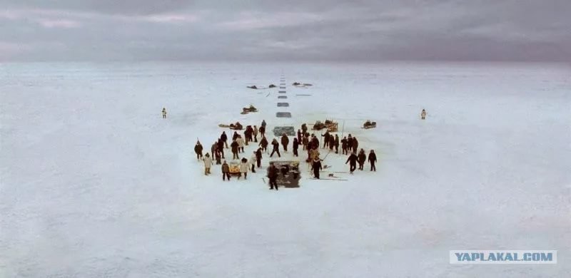 Операция «Прорыв» Реальная история, аляска, киты, ледокол, спасение китов
