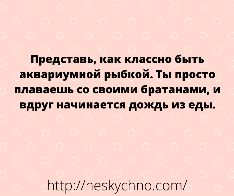 Анекдоты с просторов сети для вашего шикарного настроения Анекдоты с просторов сети для вашего шикарного настроения