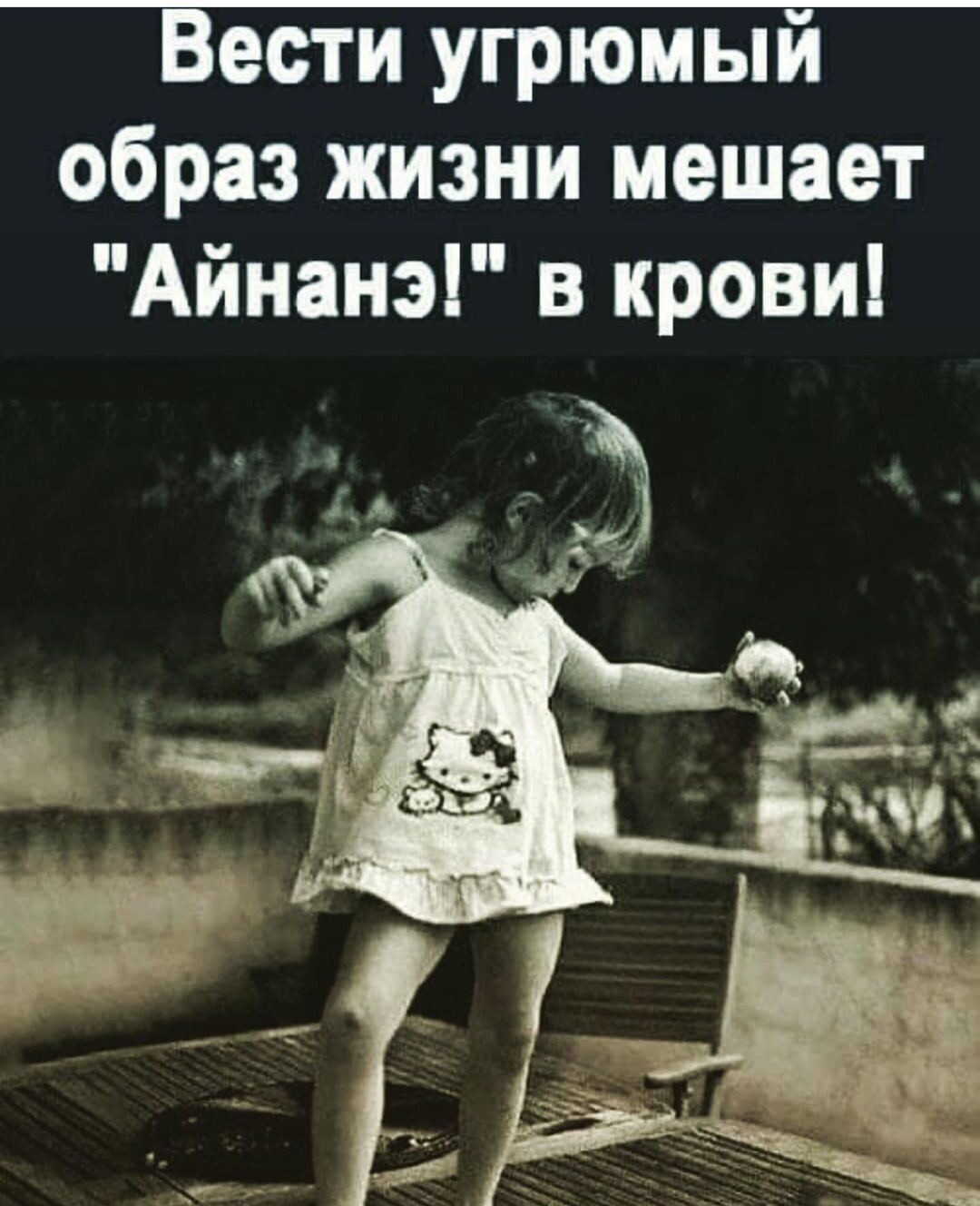 Подборка шуточек Подборка шуточек