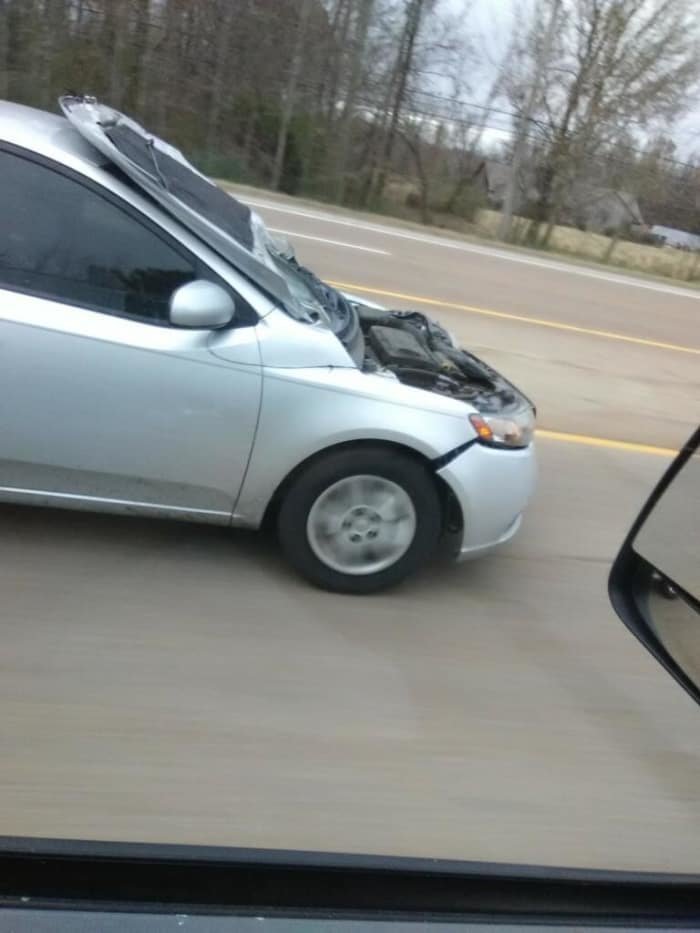 Отберите у них права немедленно! отдых