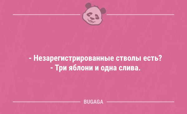 Анекдоты для хорошего настроения 