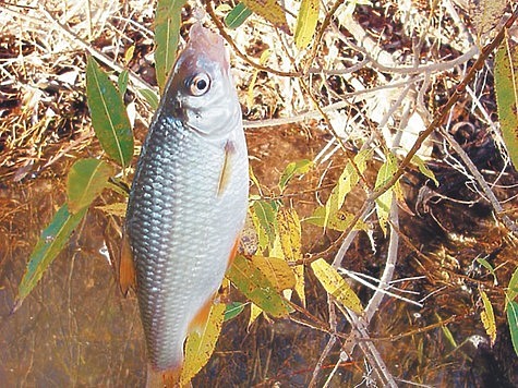 Фото: Анатолий Маилков.
