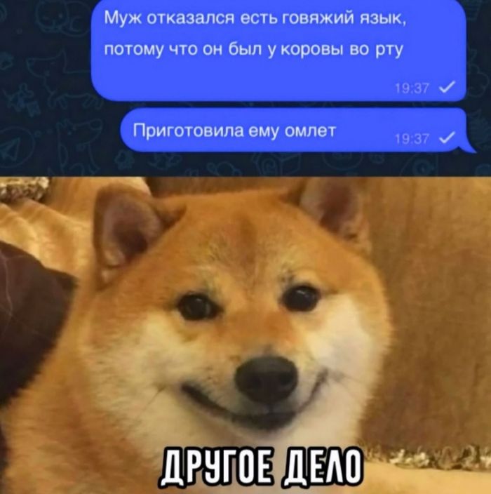 Анекдоты недели и Дональд с Илоном г,Санкт-Петербург [1414662]