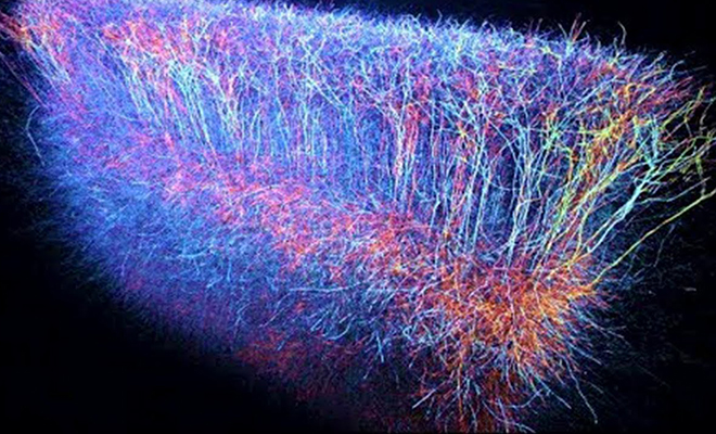 В человеческом мозге зафиксировали импульсы, которых ранее ни разу не замечали. Взаимодействие похоже на компьютер