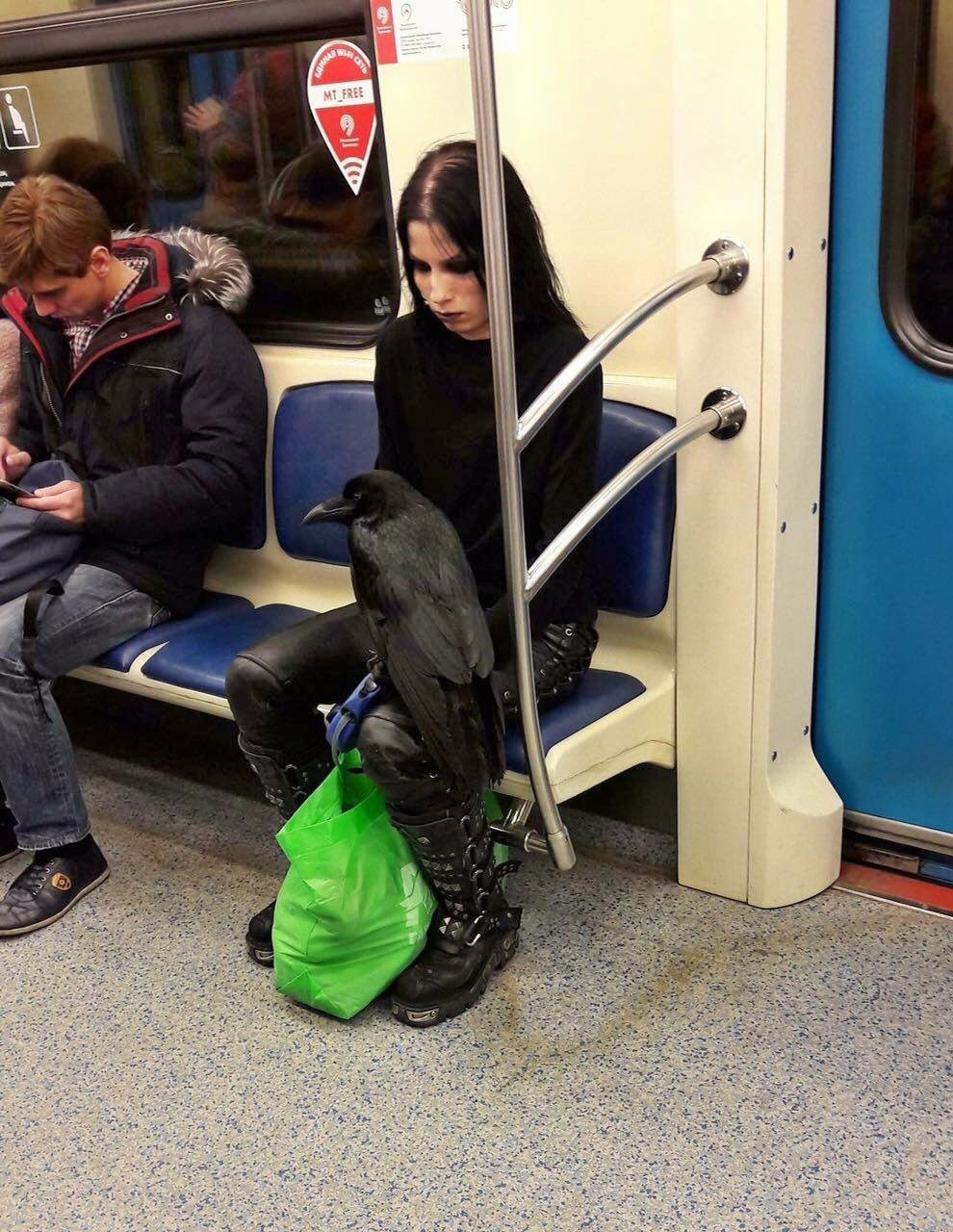 Странности в метро Странности в метро метро