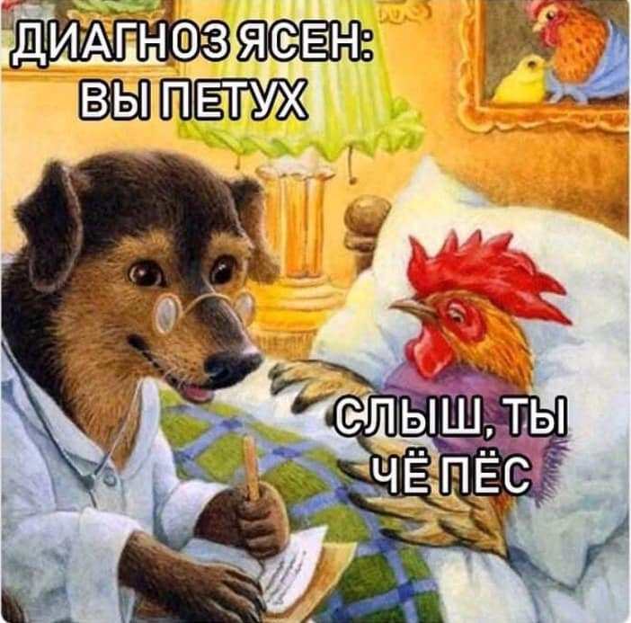 Мемы и картиночки 