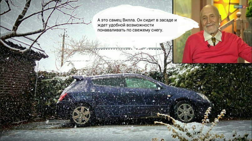 Я работаю на автосервисе. И уже ненавижу новые автомобили. Мужское мнение авто и мото,автоновости