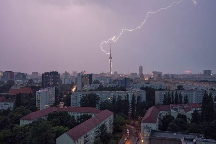 Шедевральные кадры, снятые в нужный момент. Покажите друзьям!