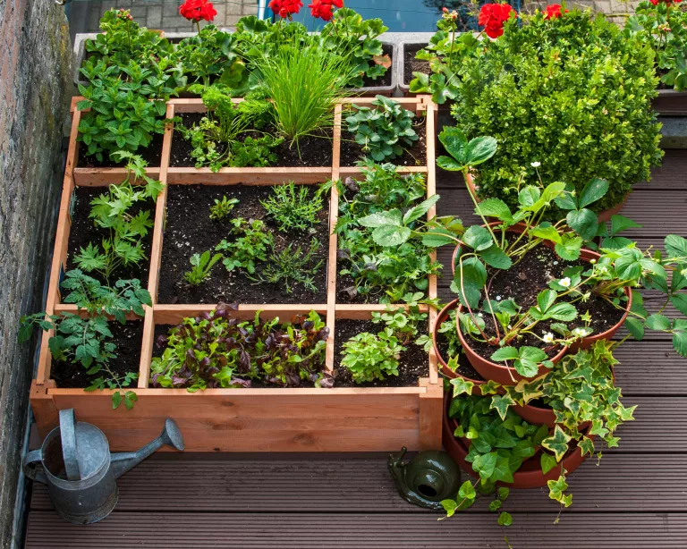 10 идей приподнятой грядки для легкого выращивания овощей даже в небольших помещениях для дома и дачи,идеи и вдохновение