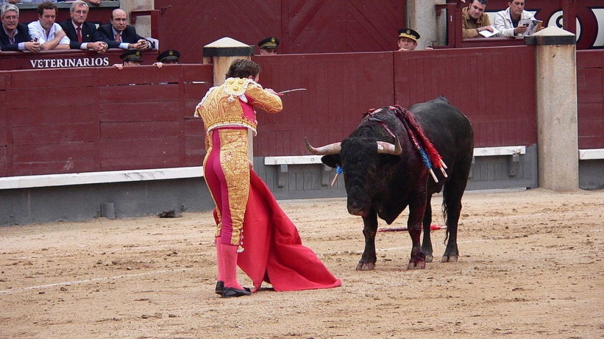 Феминист и Нигериец взбесили власти Хихона