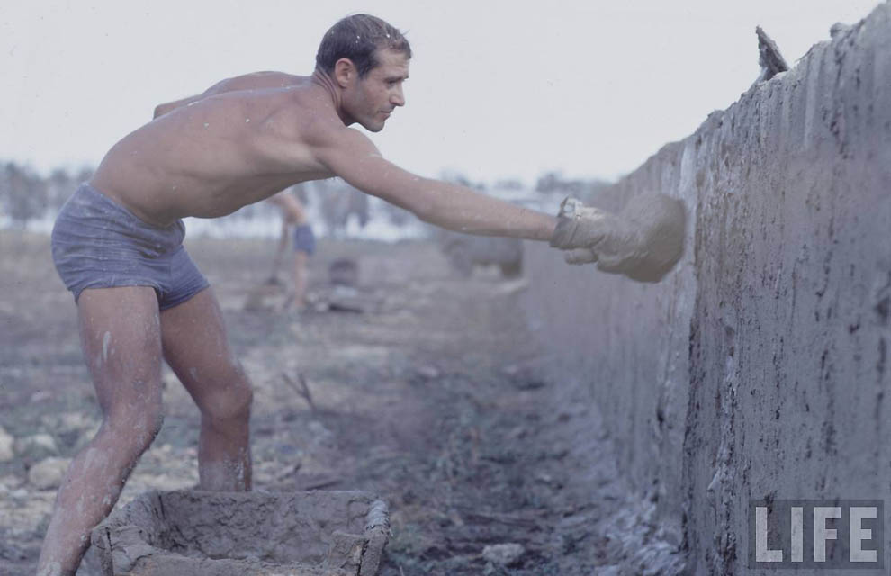 Молодые шестидесятых Молодые шестидесятых