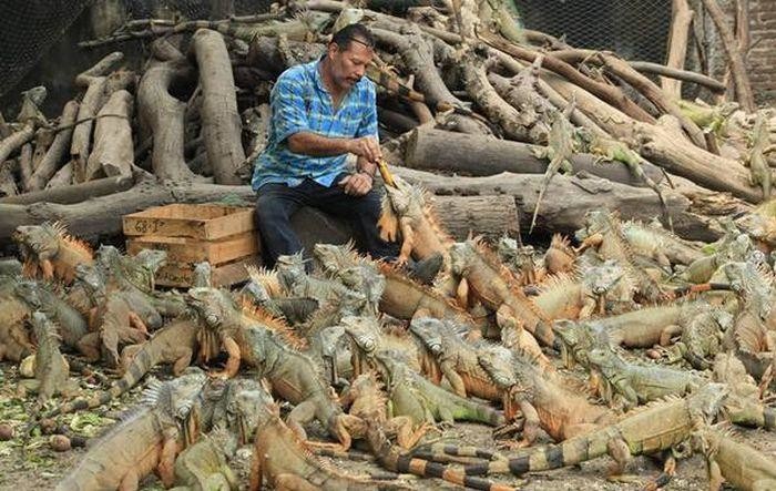 Фото приколы из реальной жизни Прикольные картинки с надписями, Смешные прикольные картинки, демотиваторы, фото приколы