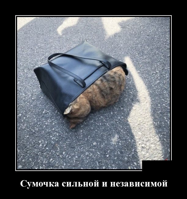 В городе, в котором нет памятников, голуби гадят на более или менее известных горожан В городе, в котором нет памятников, голуби гадят на более или менее известных горожан анекдоты,веселье,демотиваторы,приколы,смех,юмор