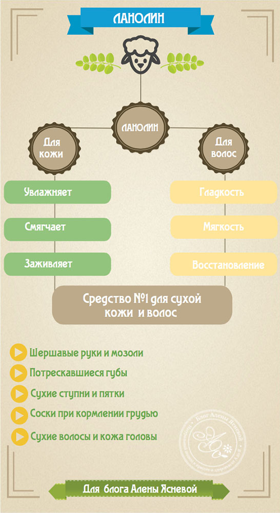 Ланолин из овечьей шерсти — универсальное средство для сухой кожи лица, тела и волос косметология,красота,ланолин,полезные продукты,полезные советы