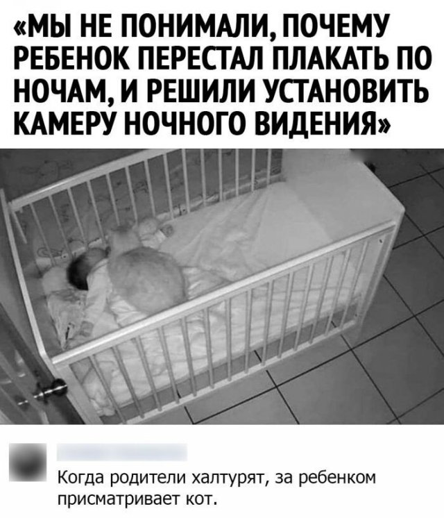 Смешные комментарии к постам в социальных сетях Смешные комментарии к постам в социальных сетях позитив,юмор
