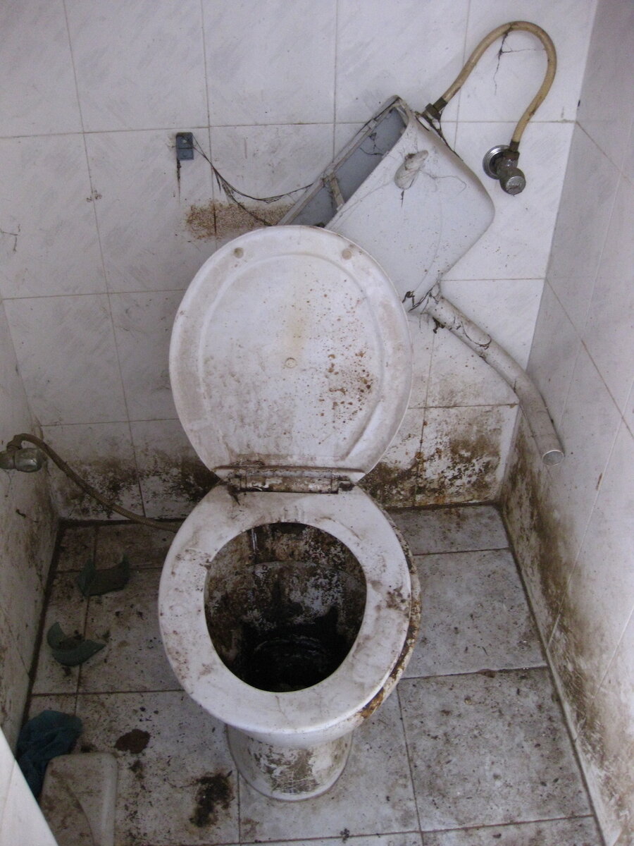 Русские не имеют права мыть туалеты в Европе. новости,события