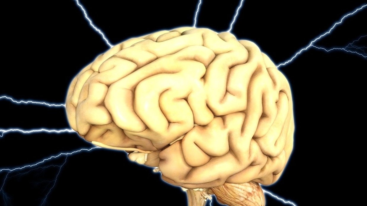 Российские ученые разработали сверхточный способ изучения мозга