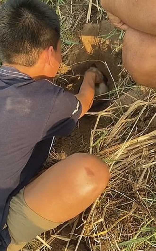 Два человека