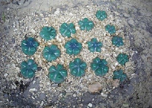 Что можно сделать из пластиковых бутылок своими руками для дачного участка, сада и огорода Что можно сделать из пластиковых бутылок своими руками для дачного участка, сада и огорода идеи