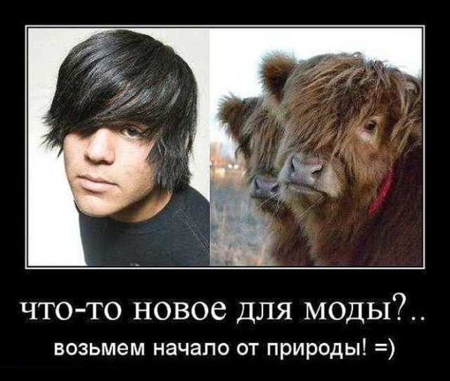 Очередная коллекция отличных демотиваторов, которые вызовут улыбку и сделают день позитивным! 