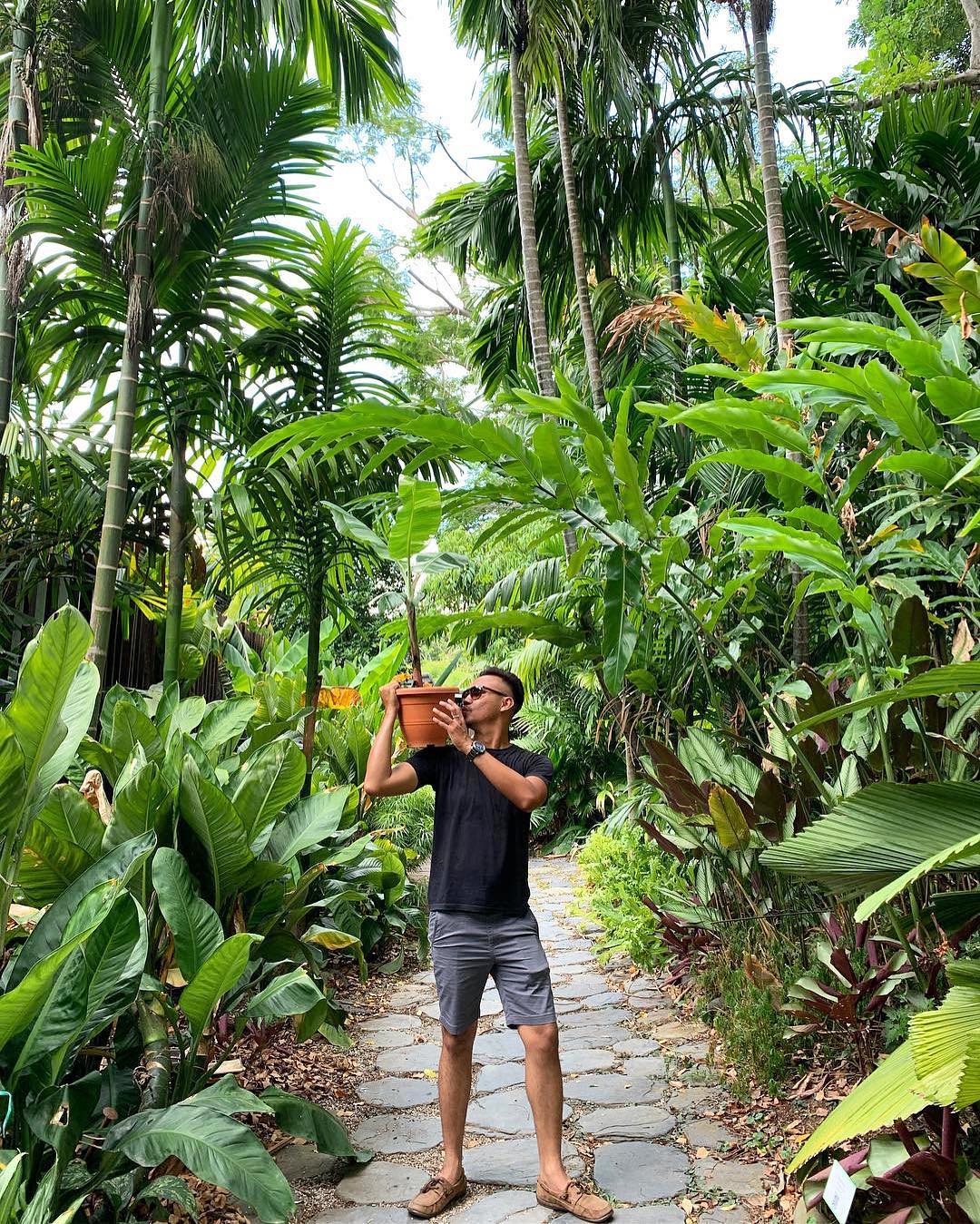 Популярный Instagram-аккаунт «Boys with Plants», где полуголые мужчины позируют с растениями 
