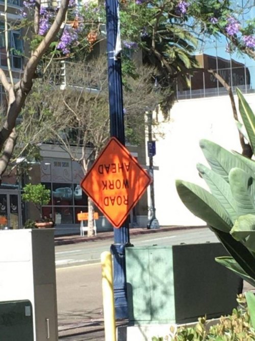 Почти получилось!  фото-приколы,юмор