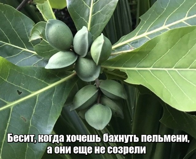 Фотоподборка пятницы  