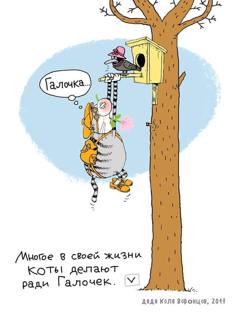 Юмор из интернета 705 Юмор из интернета 705 позитив,смех,улыбки,юмор