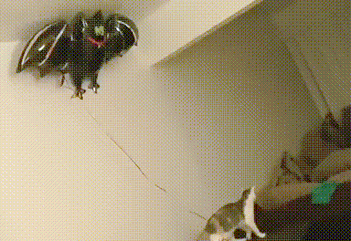 Сборник жизненных гифок про все в нашем мире 